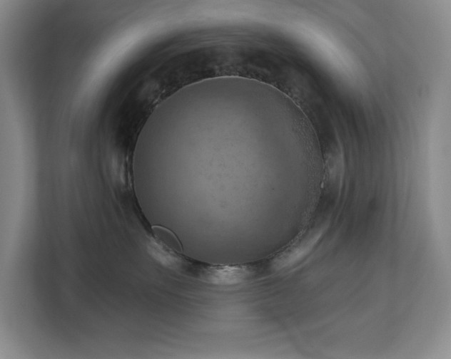 X0000111360527200907101233