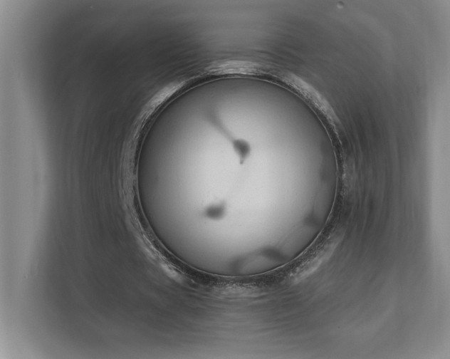 X0000111360529200907101232