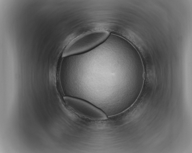 X0000111360530200907101232