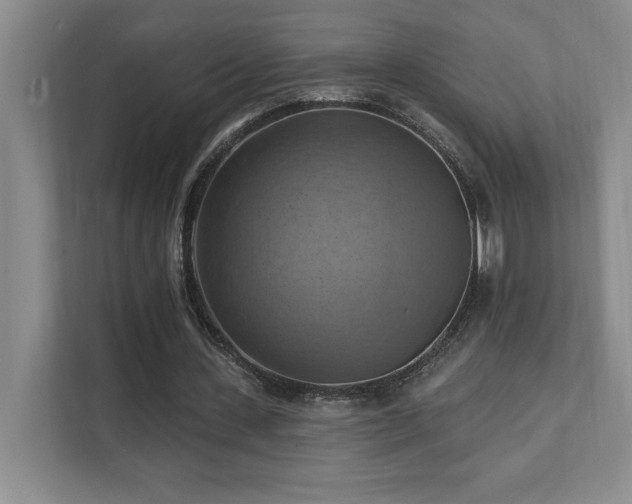 X0000111360531200907101232