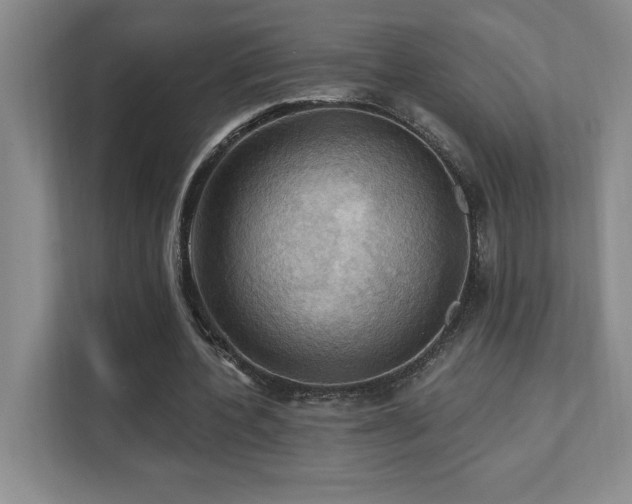 X0000111360532200907101232