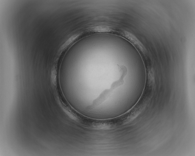 X0000111360533200907101232