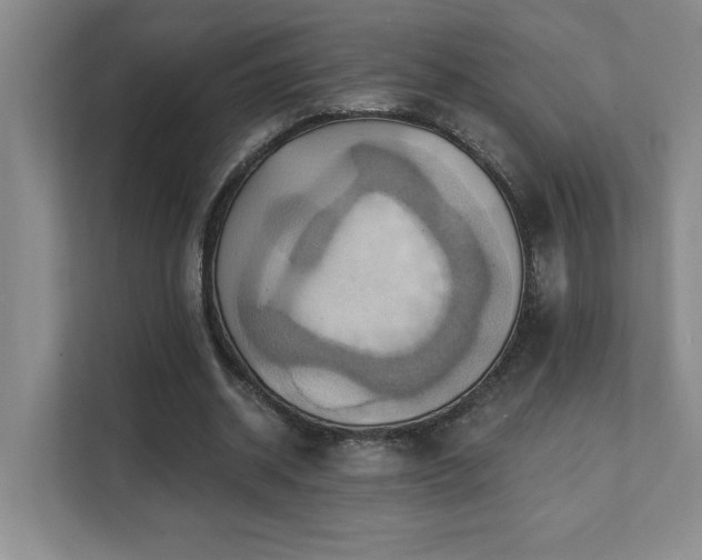 X0000111360534200907101232