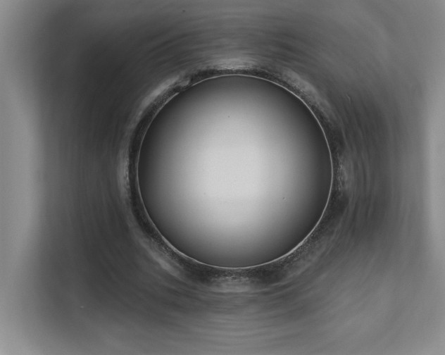 X0000111360535200907101232