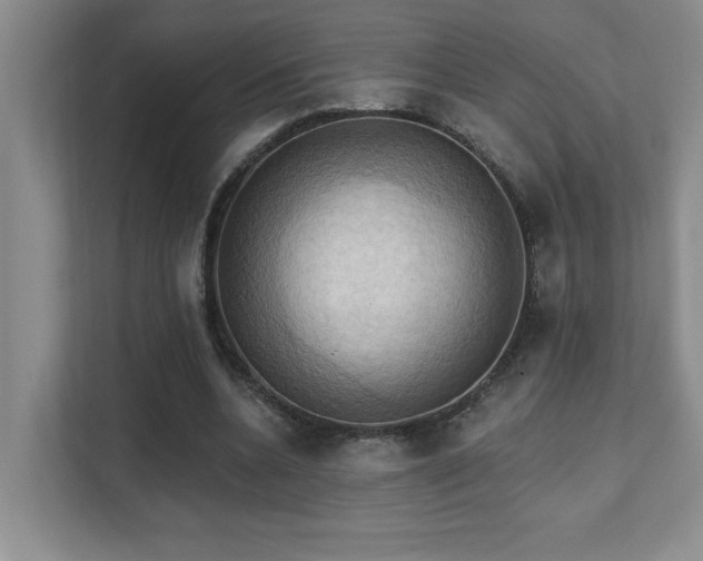 X0000111360536200907101232
