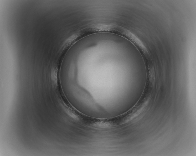 X0000111360537200907101232
