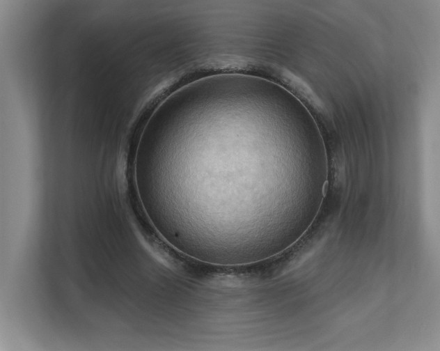 X0000111360538200907101232