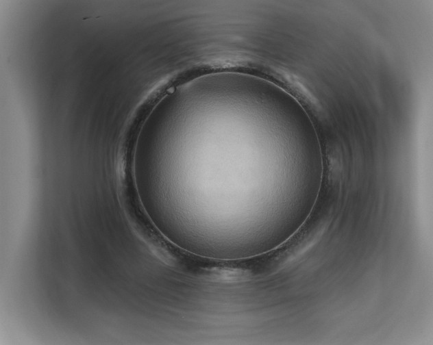X0000111360539200907101232