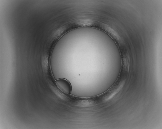 X0000111360541200907101232