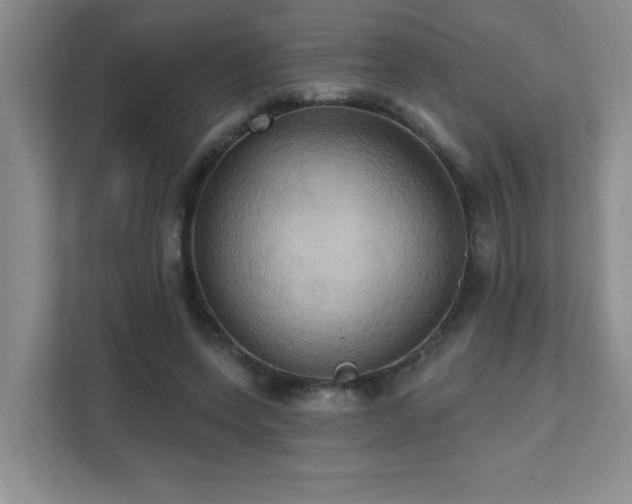 X0000111360543200907101232