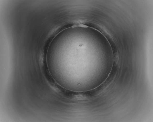 X0000111360544200907101233