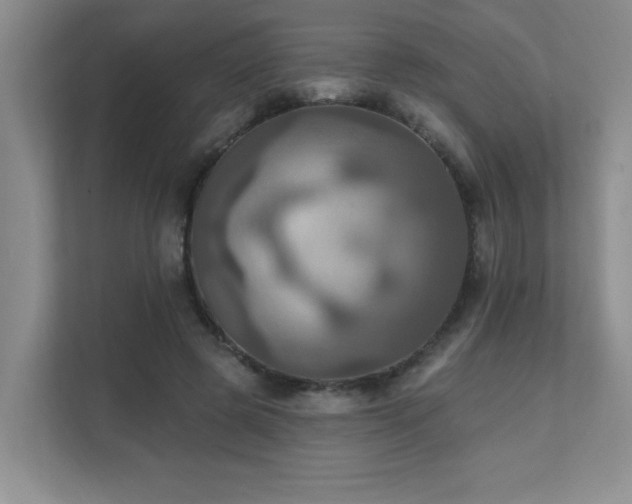 X0000111360545200907101233