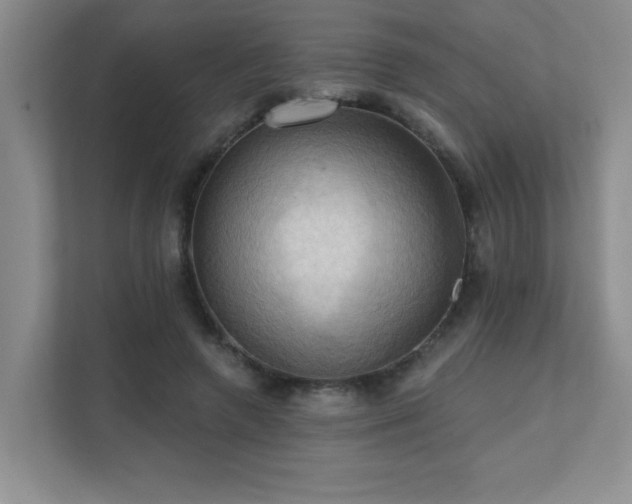 X0000111360546200907101233