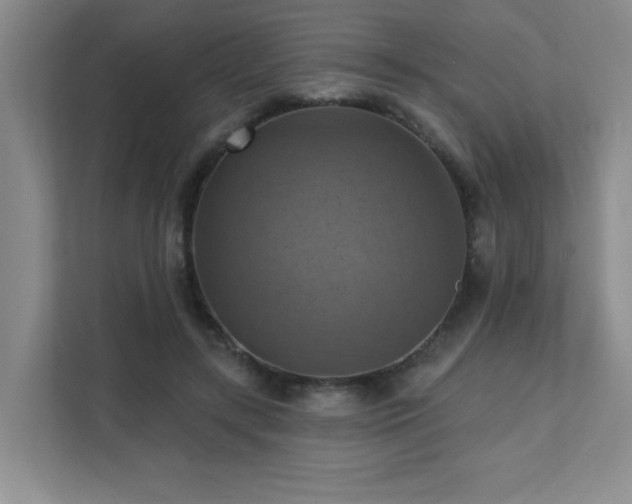X0000111360547200907101233