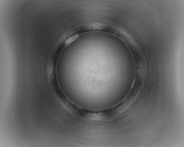 X0000111360548200907101233