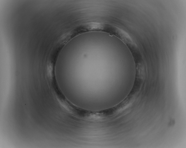 X0000111360550200907101233