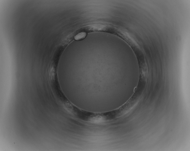 X0000111360551200907101233