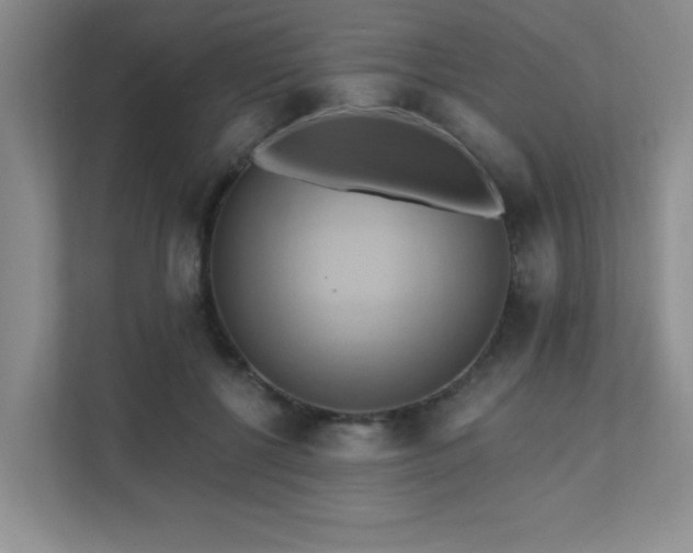 X0000111360552200907101233
