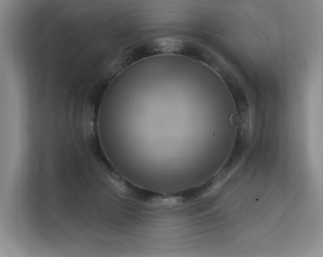 X0000111360553200907101233