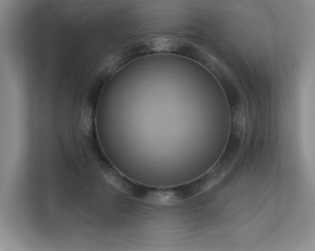 X0000111360554200907101233