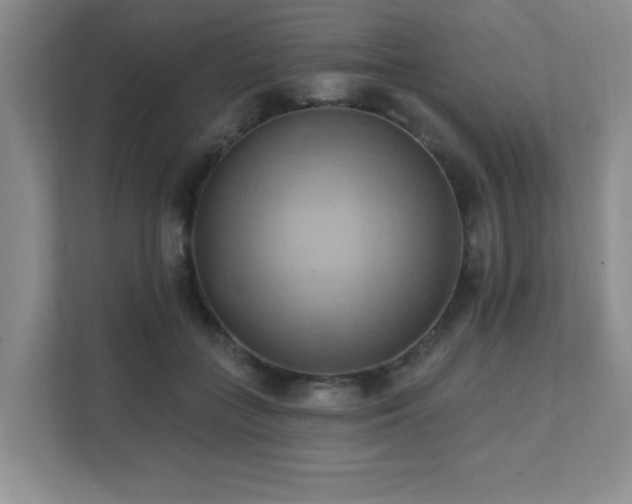 X0000111360555200907101233