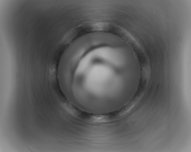 X0000111360557200907101233
