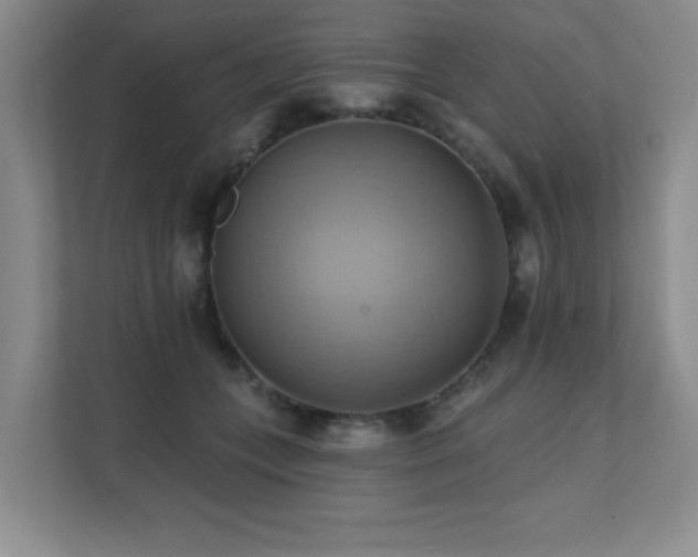 X0000111360559200907101233