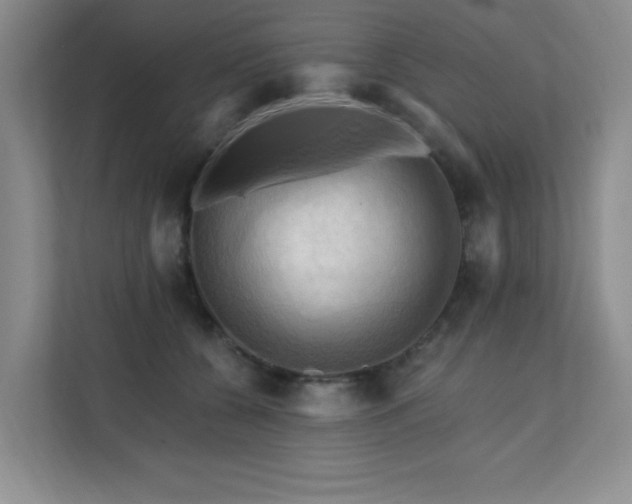 X0000111360560200907101233