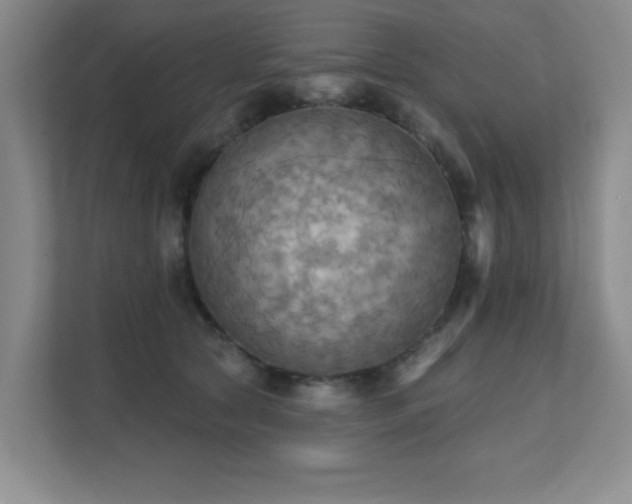 X0000111360561200907101233