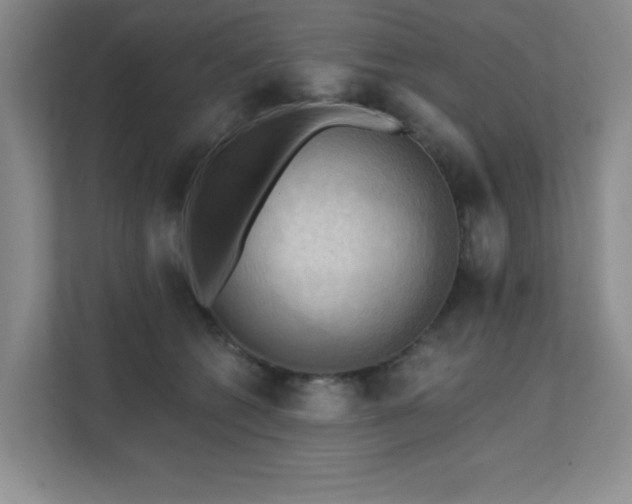 X0000111360562200907101233