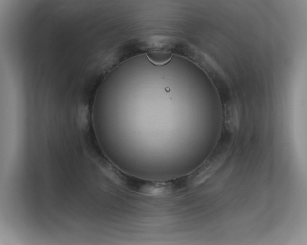 X0000111360563200907101233