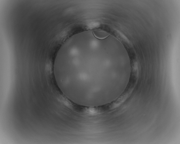 X0000111360565200907101233