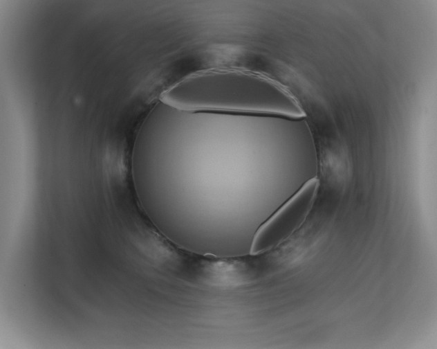 X0000111360566200907101233