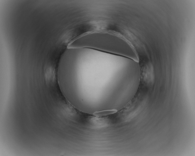 X0000111360568200907101233