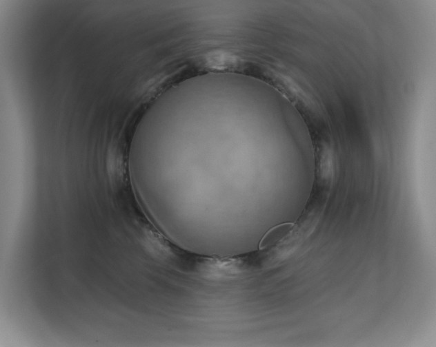 X0000111360569200907101233