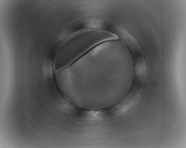 X0000111360570200907101233