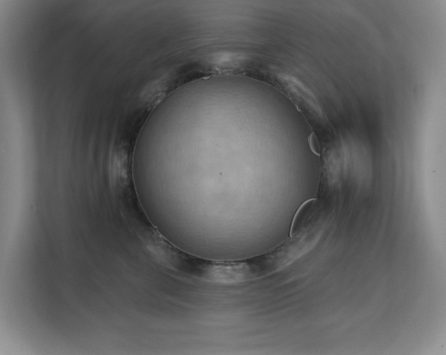 X0000111360571200907101233