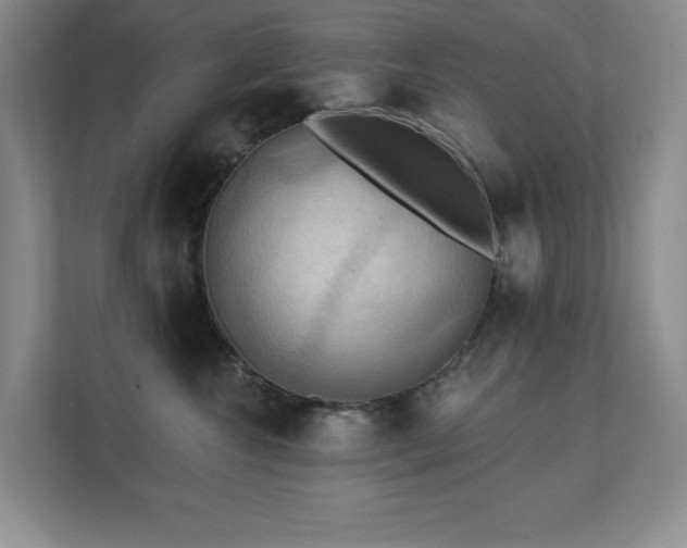 X0000111360572200907101233