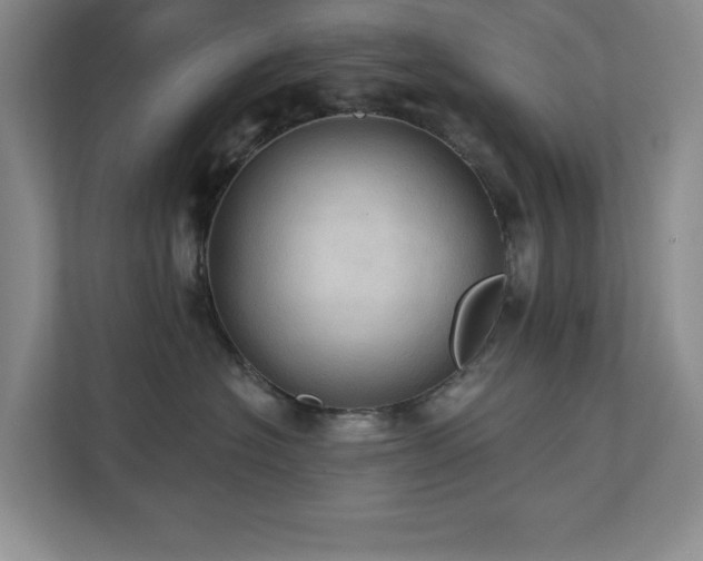 X0000111360574200907101233