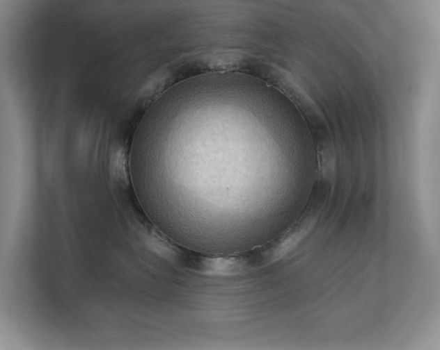 X0000111360575200907101233