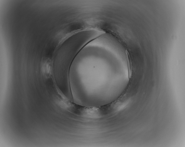 X0000111360576200907101233