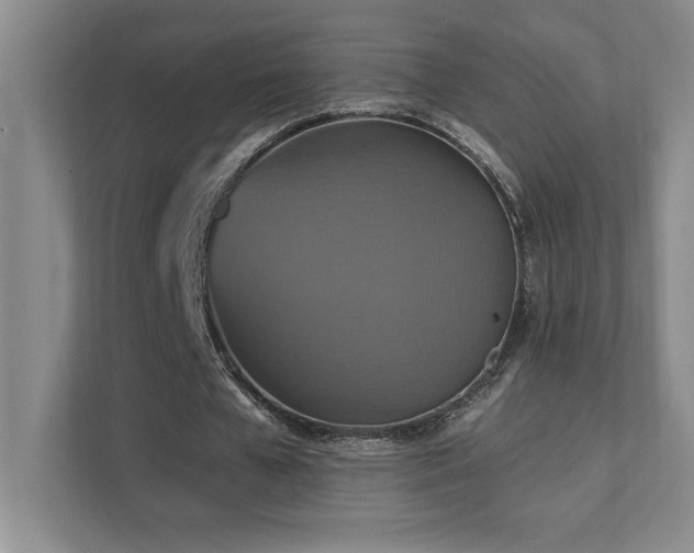 X0000111360577200907101232
