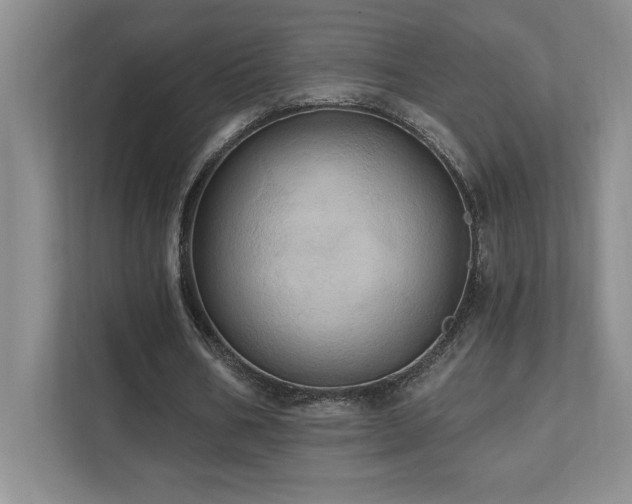 X0000111360578200907101232