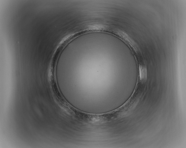 X0000111360579200907101232