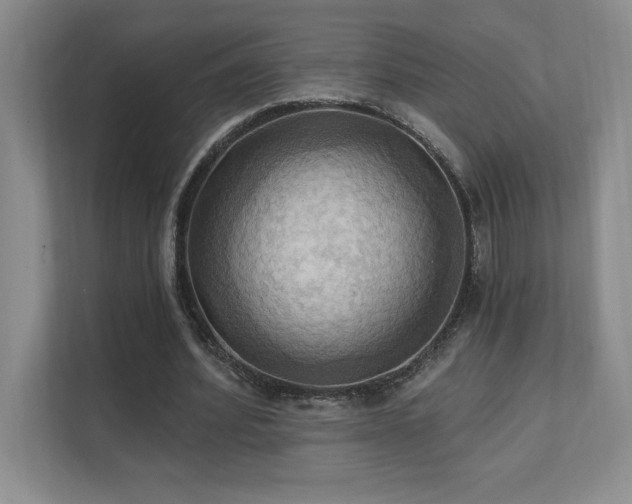 X0000111360580200907101232