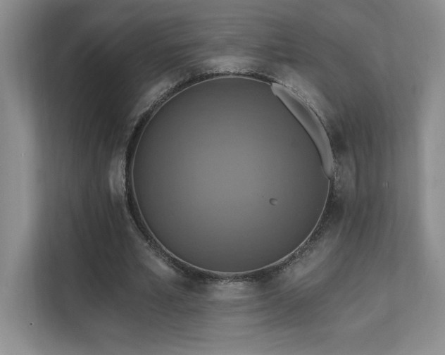 X0000111360581200907101232