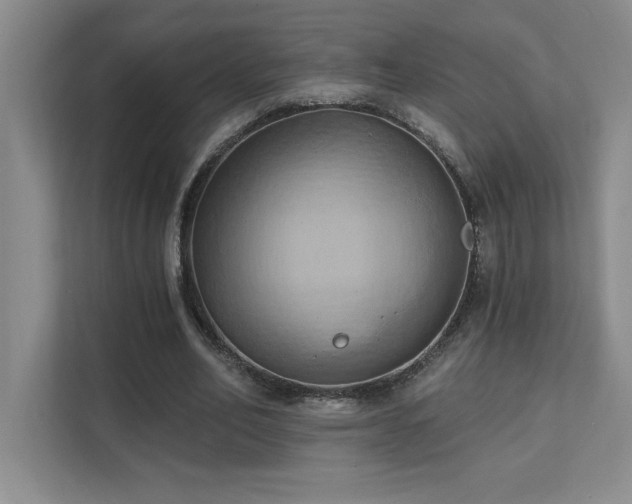 X0000111360582200907101232