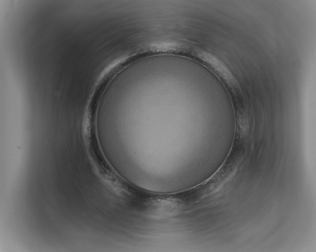 X0000111360583200907101232