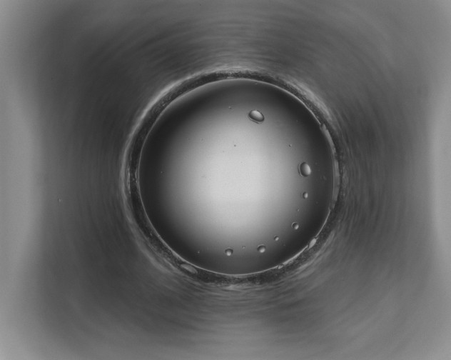 X0000111360584200907101232