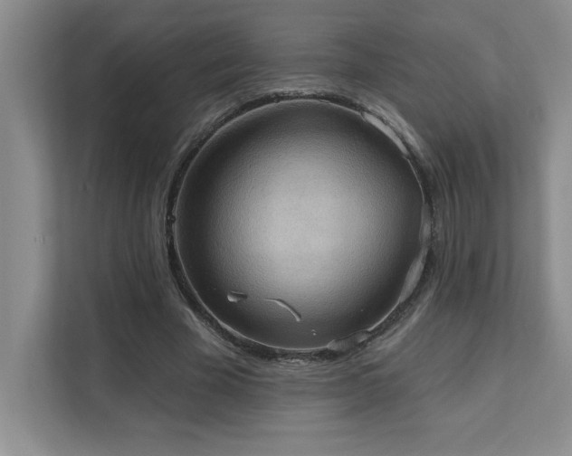 X0000111360585200907101232